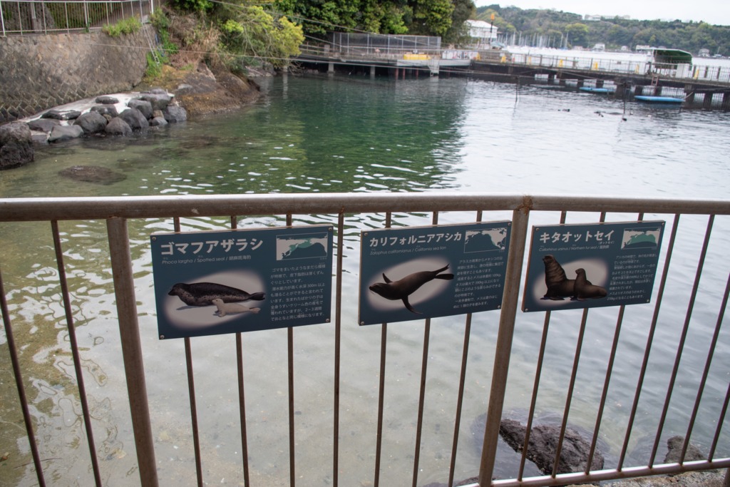 うーむ見分けるの難しい