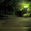 Night　Park