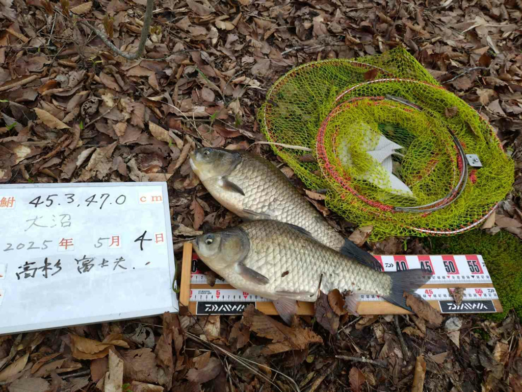画像1