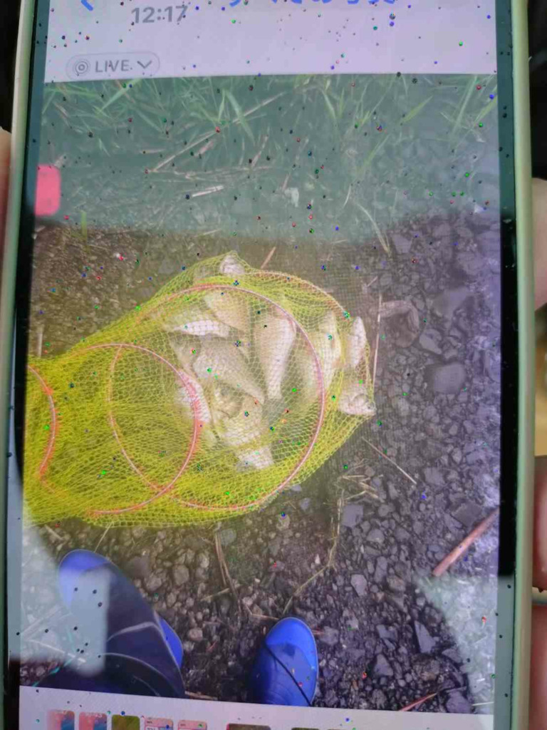 画像1